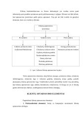 Prekybos logistikos elementai 6 puslapis