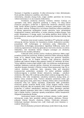 Užsakymų tvarkymo ir įmonės logistikos valdymo informacinės sistemos integravimas 2 puslapis