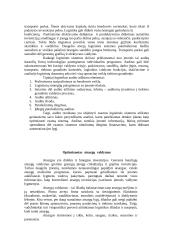 Užsakymų tvarkymo ir įmonės logistikos valdymo informacinės sistemos integravimas 8 puslapis