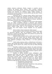 Užsakymų tvarkymo ir įmonės logistikos valdymo informacinės sistemos integravimas 10 puslapis