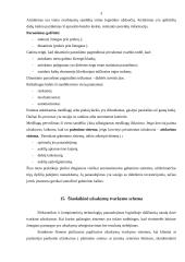 Svarbios logistikos temos 3 puslapis