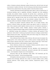 Svarbios logistikos temos 4 puslapis