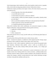 Svarbios logistikos temos 7 puslapis