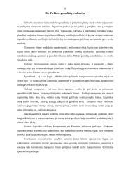 Svarbios logistikos temos 8 puslapis