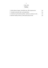 Skirtingos logistikos temos 2 puslapis