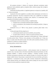 Skirtingos logistikos temos 5 puslapis