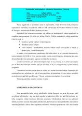 Skirtingos logistikos temos 6 puslapis