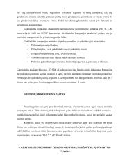 Skirtingos logistikos temos 7 puslapis