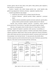 Logistikos ir gamybos sąsajos 6 puslapis