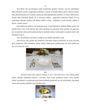 Maitinimo organizavimo modulio kontrolinis darbas 11 puslapis