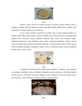 Maitinimo organizavimo modulio kontrolinis darbas 13 puslapis