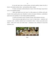 Maitinimo organizavimo modulio kontrolinis darbas 14 puslapis