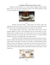 Maitinimo organizavimo modulio kontrolinis darbas 10 puslapis