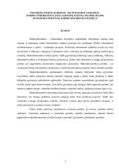 Makroekonomikos kontrolinis darbas 2 puslapis