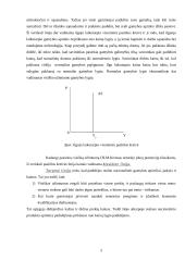 Makroekonomikos kontrolinis darbas 5 puslapis