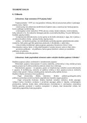 Makroekonomikos teorinė ir praktinė dalys 2 puslapis