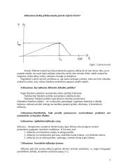 Makroekonomikos teorinė ir praktinė dalys 3 puslapis