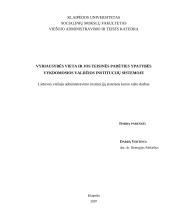 Vyriausybės vieta ir jos teisinės padėties ypatybės vykdomosios valdžios institucijų sistemoje