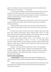 Marketinginė produkto koncepcija 3 puslapis