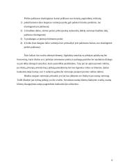 Marketinginė produkto koncepcija 4 puslapis