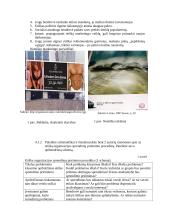 Marketingas ir marketingo etika 3 puslapis