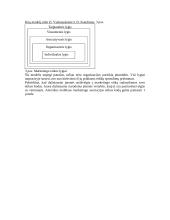 Marketingas ir marketingo etika 7 puslapis