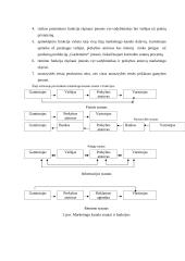 Marketingo kanalai: įmonė "Gardentime" 4 puslapis