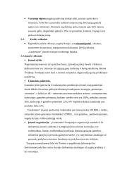 Marketingo kanalai: įmonė "Gardentime" 6 puslapis