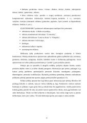 Marketingo komplekso elementai: UAB "Elektromarkt" 11 puslapis