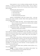 Marketingo komplekso elementai: UAB "Elektromarkt" 7 puslapis