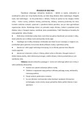 Marketingo komplekso ypatumai ir svarba įmonėms 12 puslapis