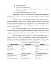 Marketingo komplekso ypatumai ir svarba įmonėms 4 puslapis