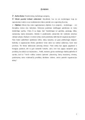 Marketingo samprata 2 puslapis