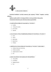 Marketingo tyrimų kontrolinis darbas 6 puslapis