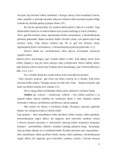 Medikų kalbos klaidų rinkimas ir analizė 6 puslapis