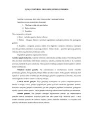 Mikroekonomikos kontrolinis darbas - išspręstas 5 puslapis