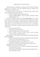 Mirties bausmė sociologijos kontekste 2 puslapis