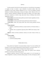 Mirties bausmė sociologijos kontekste 4 puslapis