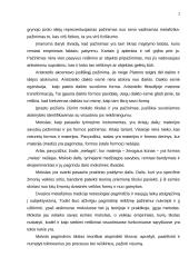 Mokslas ir pažinimas 2 puslapis