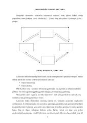 Monopolija kaip rinkos mechanizmas 4 puslapis