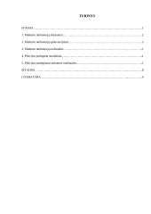 Muitinės darbuotojų nuobaudos ir skatinimas 2 puslapis