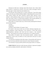 Muitinės darbuotojų nuobaudos ir skatinimas 3 puslapis