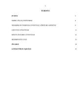 Nedarbas šalyje ir galimos jo pasekmės 2 puslapis