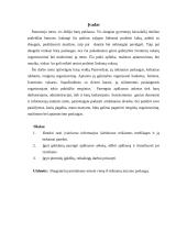 Nedidelių barų analizė Panevėžio mieste