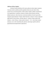 Nedidelių barų analizė Panevėžio mieste 11 puslapis