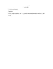 Nedidelių barų analizė Panevėžio mieste 12 puslapis