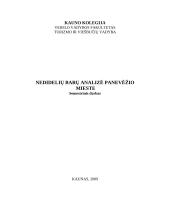 Nedidelių barų analizė Panevėžio mieste 13 puslapis