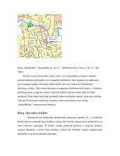 Nedidelių barų analizė Panevėžio mieste 3 puslapis