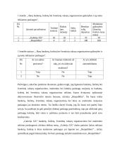 Nedidelių barų analizė Panevėžio mieste 4 puslapis