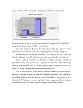 Nedidelių barų analizė Panevėžio mieste 6 puslapis